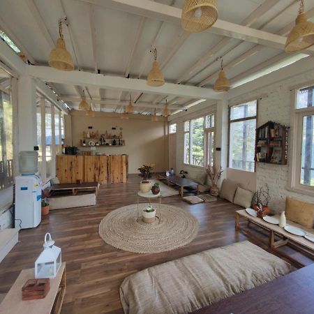 Freebird Nest 2 Stays & Cafe Jibhi ภายนอก รูปภาพ