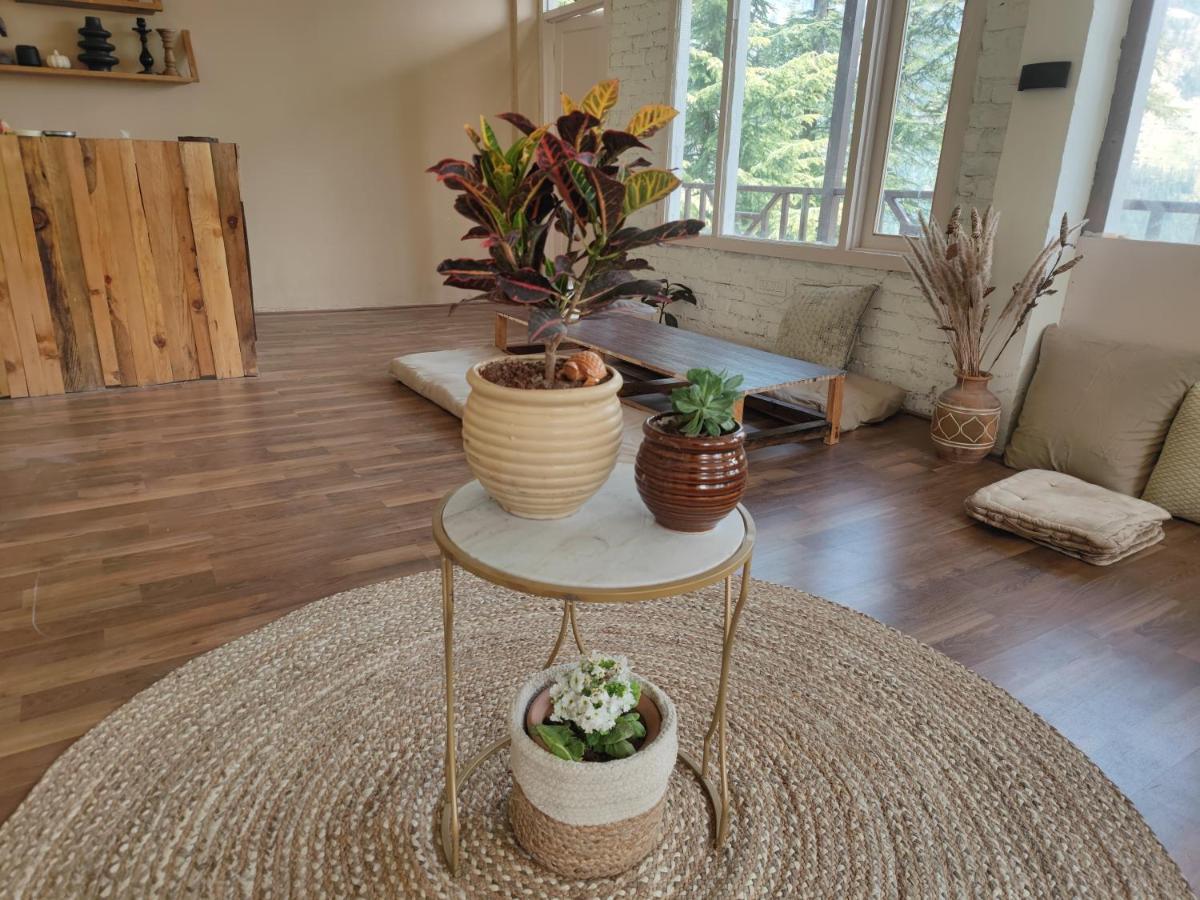 Freebird Nest 2 Stays & Cafe Jibhi ภายนอก รูปภาพ